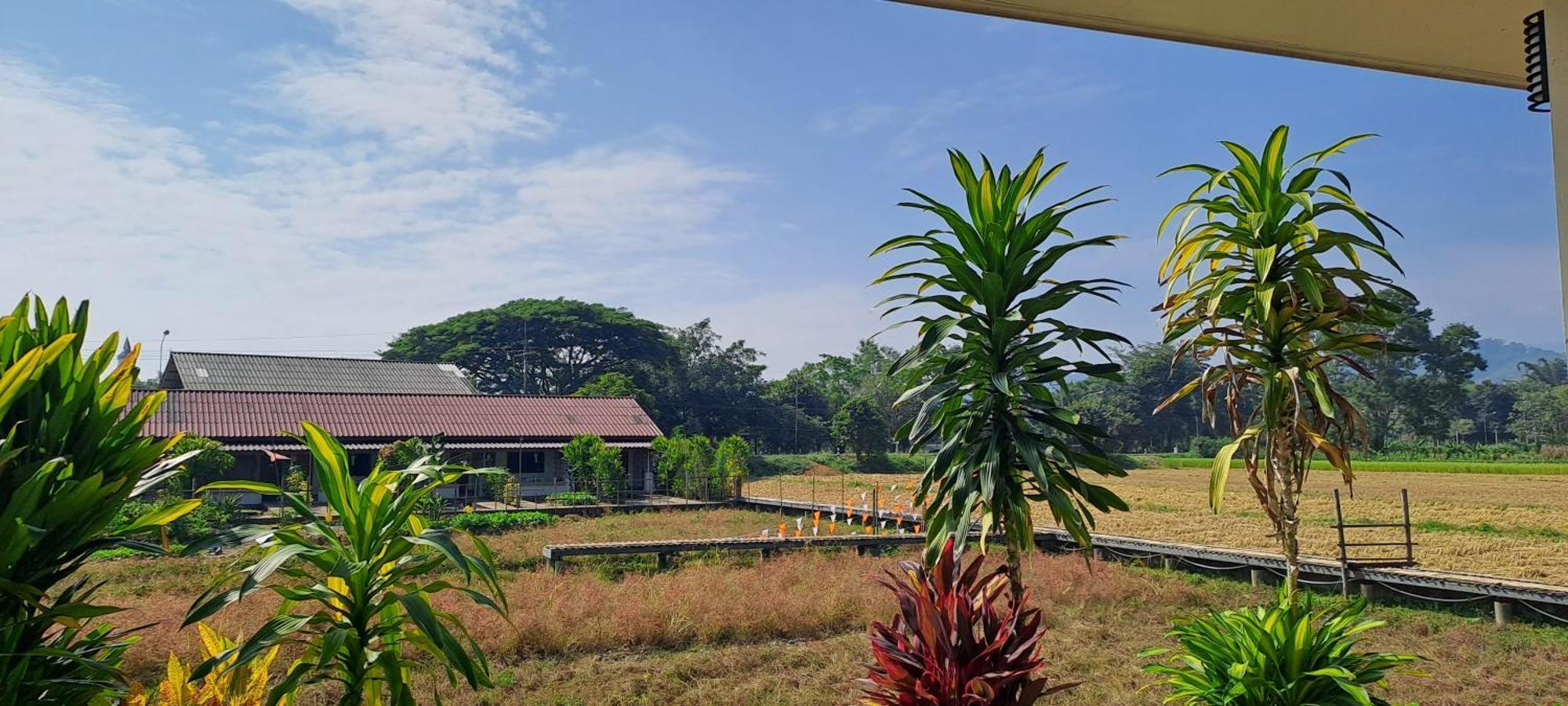 Ban Lom Jen Homestay Chiang Rai Eksteriør billede