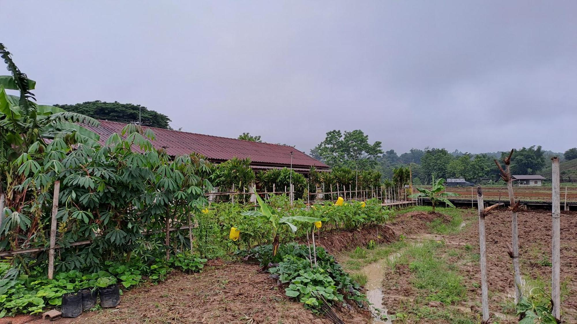 Ban Lom Jen Homestay Chiang Rai Eksteriør billede