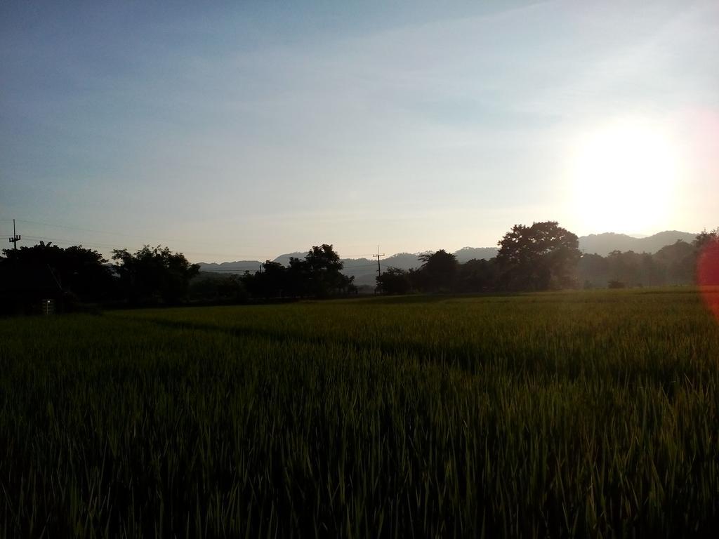 Ban Lom Jen Homestay Chiang Rai Eksteriør billede
