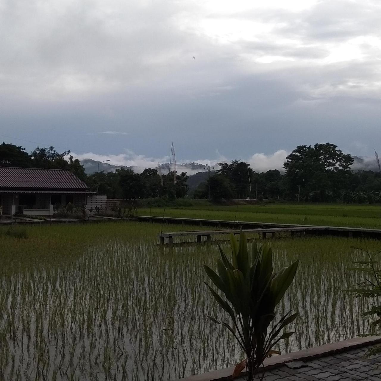 Ban Lom Jen Homestay Chiang Rai Eksteriør billede